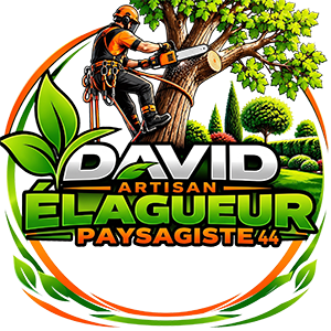 elagage-artisan-david